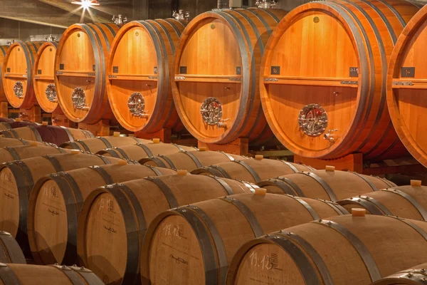 TRNAVA, SLOVAKIA - MARCH 3, 2014：Casks from indoor of modern wine cellar of great Slovak producer "Mrva and Stanko". — 图库照片