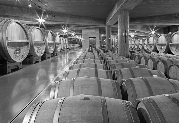Trnava, Slovakya - ö. 3 Mart 2014: modern şarap mahzeni büyük slovak üreticisi "mrva ve stanko kapalı". — Stok fotoğraf