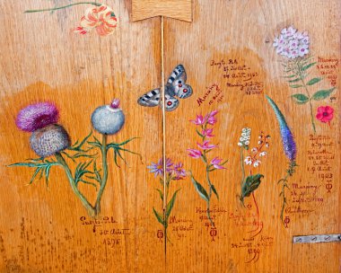 SAINT ANTON, SLOVAKIA - FEBRUARY 26, 2014: Drawings of flowers and plants by Bulgarian tsar Ferdinand Coburg from table of Library in your residence - palace Saint Anton. Tsar was inflamed botanist. clipart