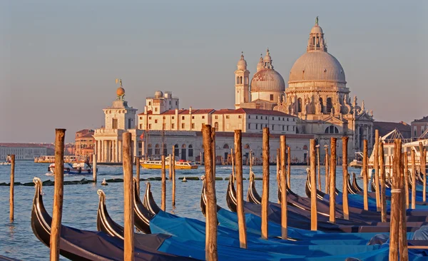 Venecia - Iglesia de Santa Maria della Salute y góndolas a la luz de la mañana —  Fotos de Stock