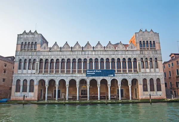 Venedig, Italien - 14 mars 2014: museo di storia naturale - museum natur — Stockfoto