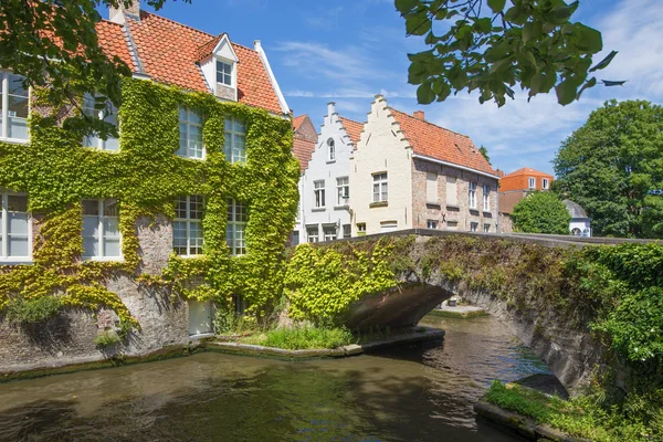 Bruges - kanal için bir görünüm ve eski küçük köprü üzerinden steen wersdijk sokak sarmaşık. — Stok fotoğraf