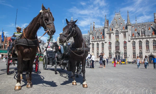 BRUGGE, BELGIUM - JUNE 13, 2014: The Carriage on the Grote Markt and the Provinciaal Hof building in background. — Stock Photo, Image