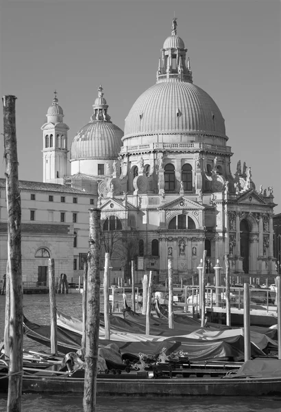 Venedig - santa maria della salute kyrkan och gondoler — Stockfoto