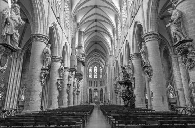 Brussels, Belçika - 16 Haziran 2014: Aziz michael ve Aziz gudula Gotik katedral NEF.