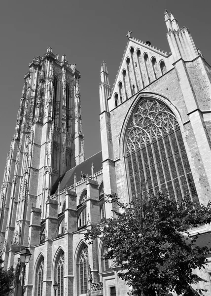 Mechelen - st. Öztuna'nın Katedrali Güney 4 Ekim 2013 yılında mechelen, Belçika. — Stok fotoğraf