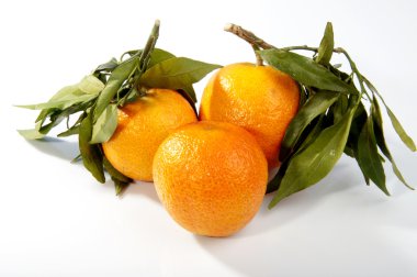 Yeşil mandalina meyve izole bırakır