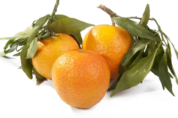 Frutti freschi di mandarino con foglie verdi isolate Foto Stock Royalty Free
