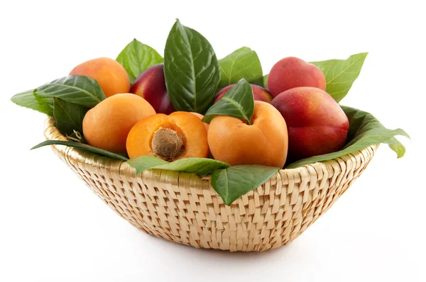 Apricots and peaches — Stock Photo, Image