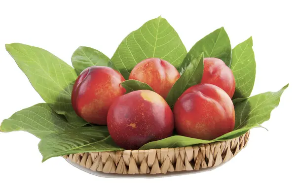 Fresh nectarines — Stock Photo, Image