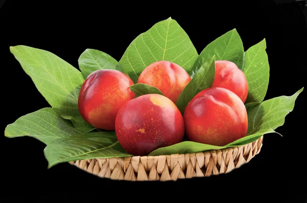 Fresh nectarines — Stock Photo, Image