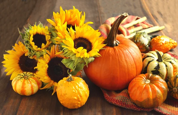 Autumn pumpkins and sunflowers — Stock Photo, Image