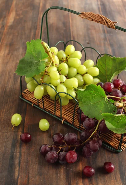 Raisins dans le panier. — Photo