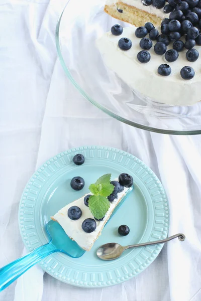 Sponge cake with whipped cream and blueberries — Stock Photo, Image