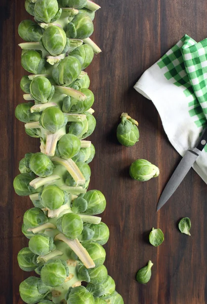 新鲜绿色布鲁塞尔芽菜 — 图库照片