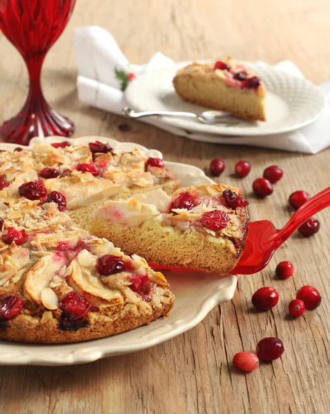 Apple Cranberry Tea Cake — Stock Photo, Image