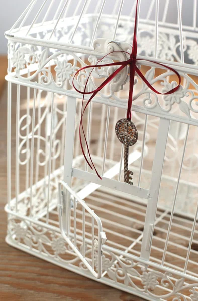 复古鸟笼与打开的门和密钥 — 图库照片