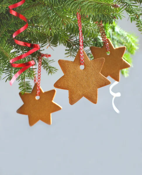 Galleta de jengibre tradicional de Navidad — Foto de Stock