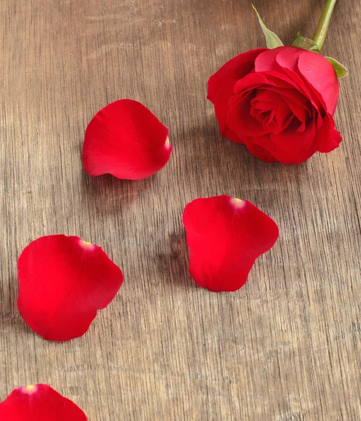 Rose und Blütenblätter auf Holzgrund — Stockfoto