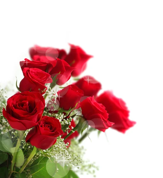 Red roses with bokeh — Stock Photo, Image