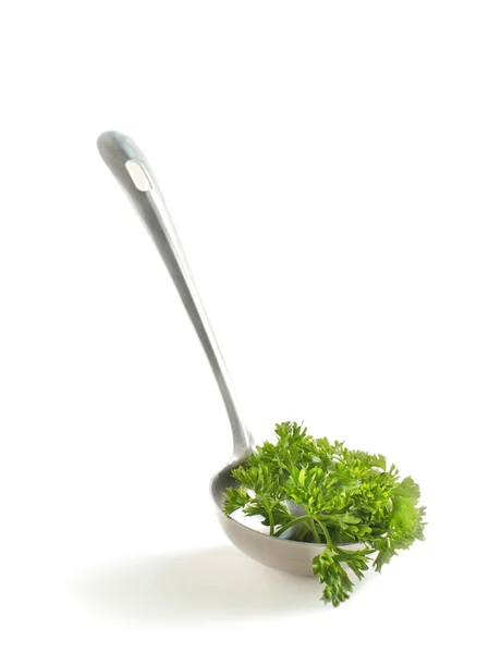 Zielone liście pietruszki włoski w kadzi zupa, na białym tle — Zdjęcie stockowe