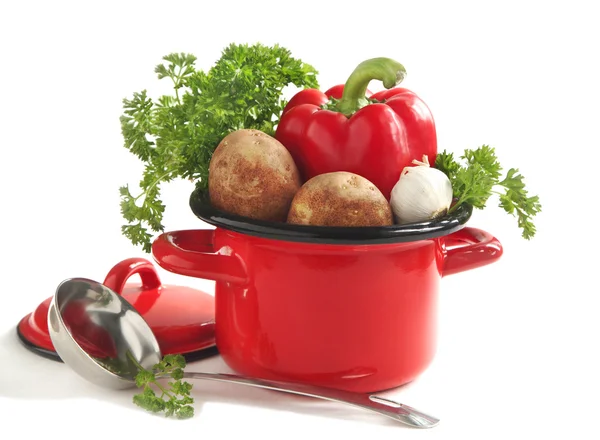 Vegetables in a cooking pot over white — Stock Photo, Image