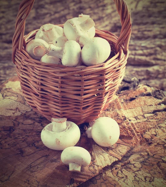 Frische Pilze im Korb — Stockfoto