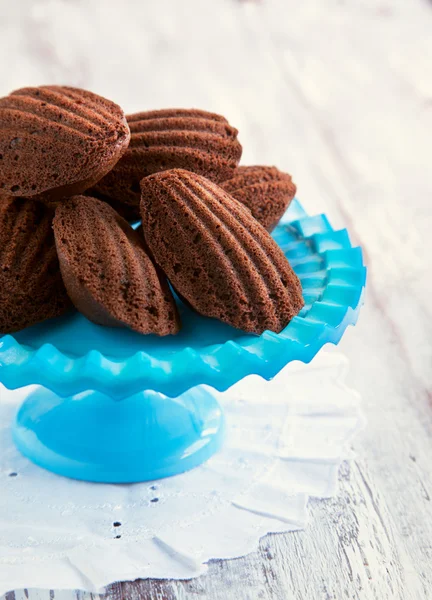 Chocolate madeleines — Stock Photo, Image