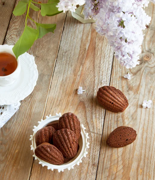 Chocolate madeleines — Stock Photo, Image