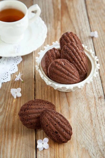 Chocolade madeleines — Stockfoto