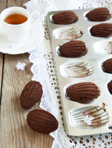 Madeleínas de chocolate — Fotografia de Stock