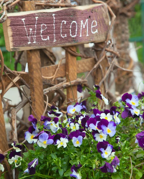 Добро пожаловать знак и цветы — стоковое фото