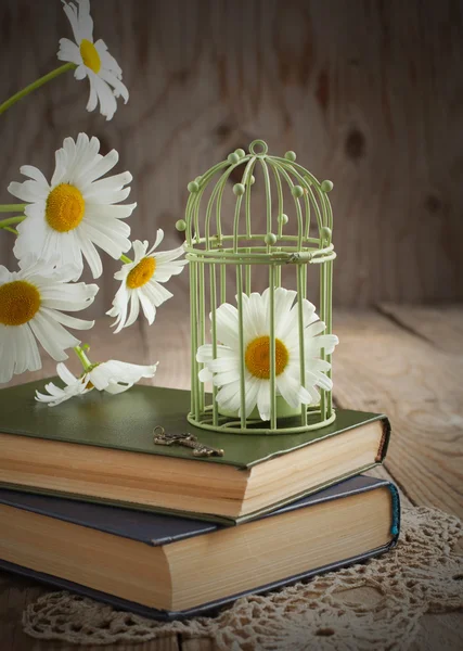 Stilleven met kamille en boeken — Stockfoto