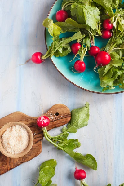 Rábanos frescos en un plato — Foto de Stock