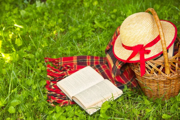 Picknick mand, boeken en stro hoed liggen op het gras. — Stockfoto