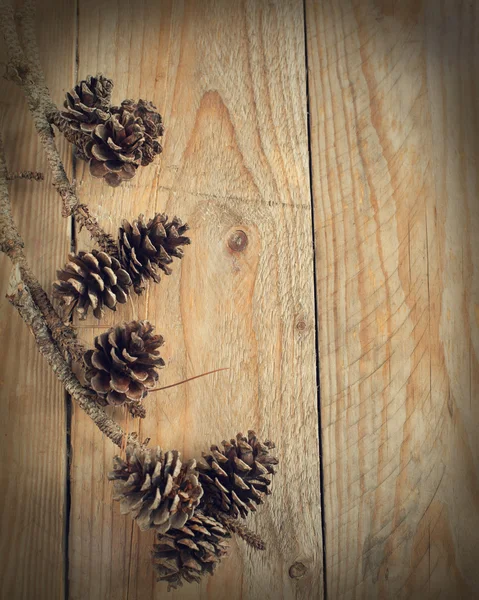 Cônes de pin sur un fond en bois — Photo