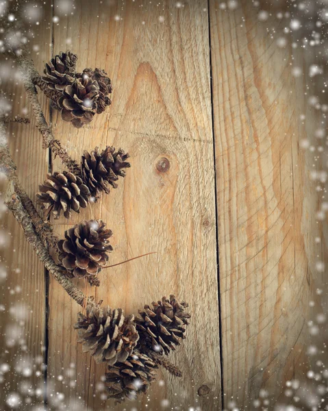 Pinecones sobre fondo de madera —  Fotos de Stock