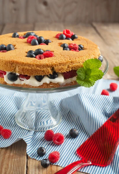 Zomer shortcake. — Stockfoto