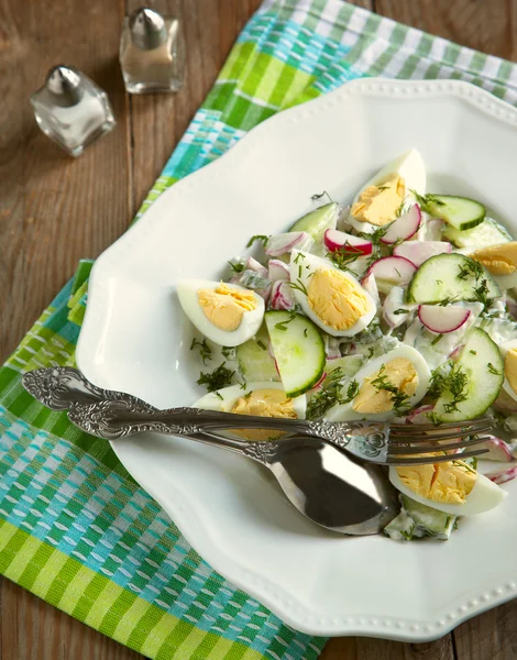 Lente salade met radijs en komkommers — Stockfoto