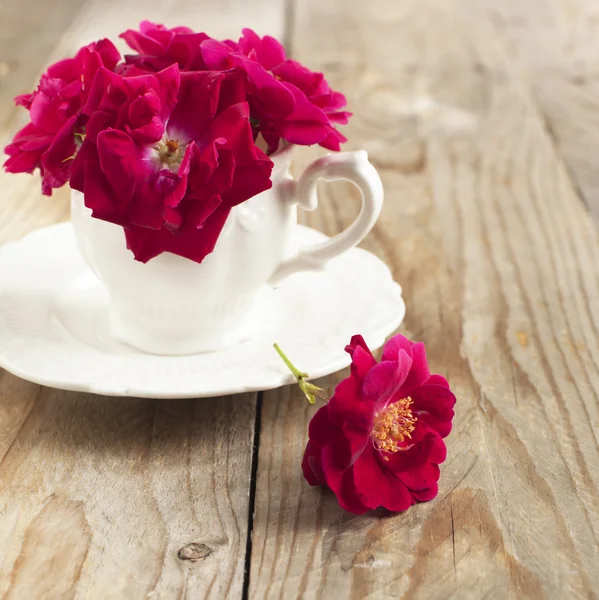 Dog rose flowers in cup — Stok fotoğraf