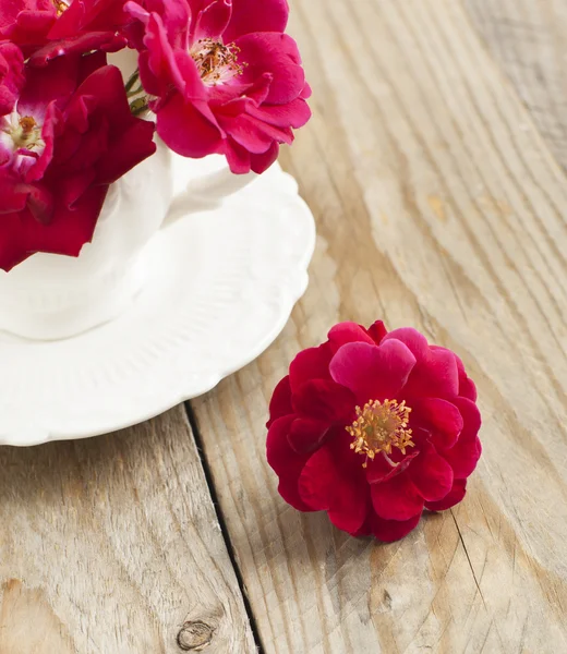 Dog rose flowers in cup — Stok fotoğraf