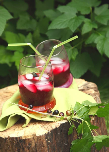 The berry spritzer cocktail — Stock Photo, Image