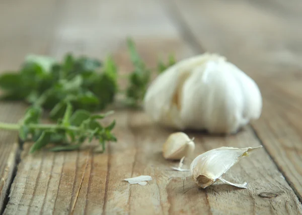 Garlic and fresh oregano. — Stock Photo, Image