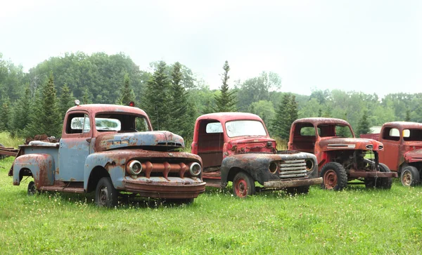 Very old rusty trucks — Stock Photo, Image