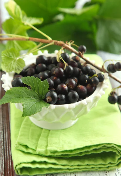 Black currant in bowl — Stock Photo, Image