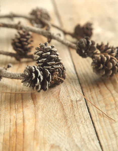 Coni di pino con ramo su uno sfondo di legno . — Foto Stock