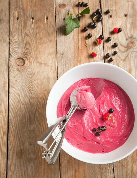Berry fruit ice cream — Stock Photo, Image