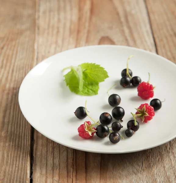 Fresh berries on the plate — Stock Photo, Image