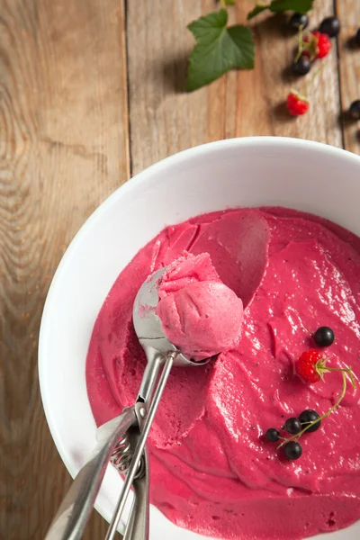 莓果水果冰淇淋 — 图库照片