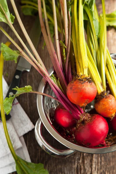 Organic red and yellow beetroots. Selective focus — Stock Photo, Image